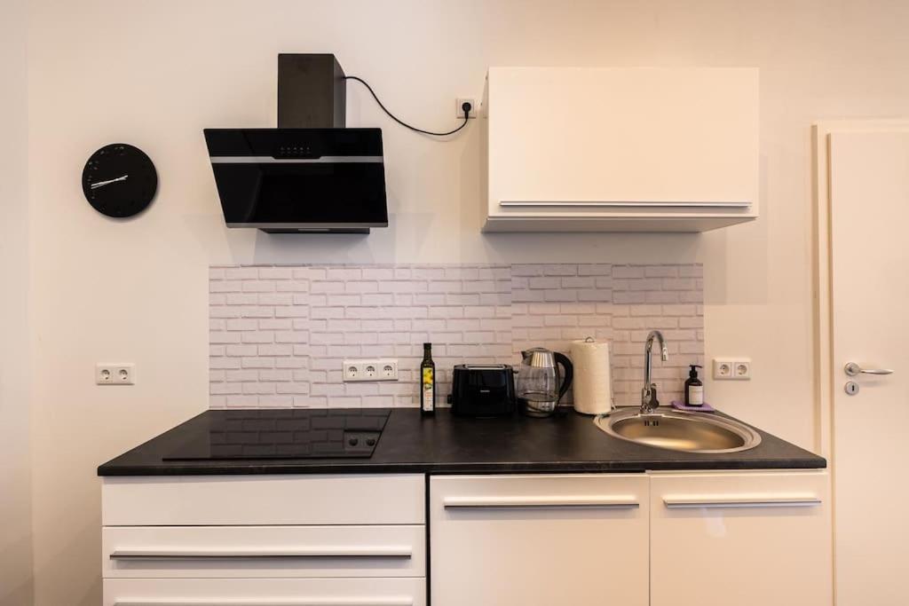 Apartment Design Altstadtperle Mit 2,5 Schlafzimmer- Waschmaschine - Parkplatz Pirna